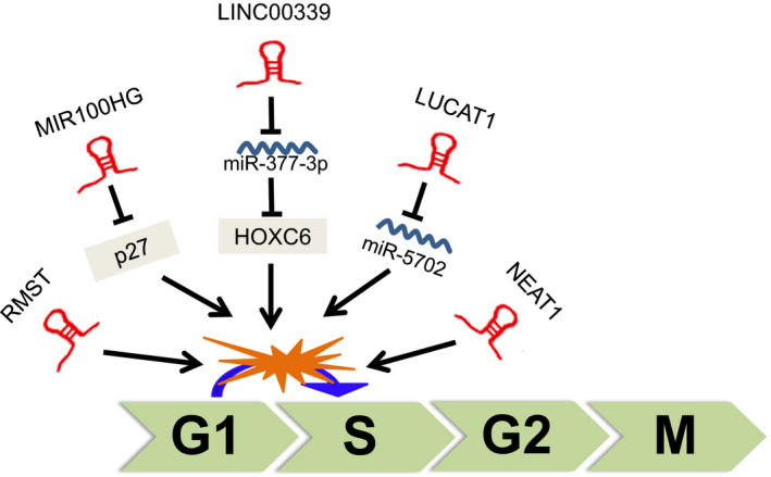 FIGURE 3