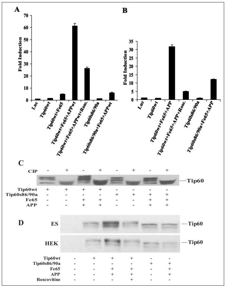 FIGURE 4