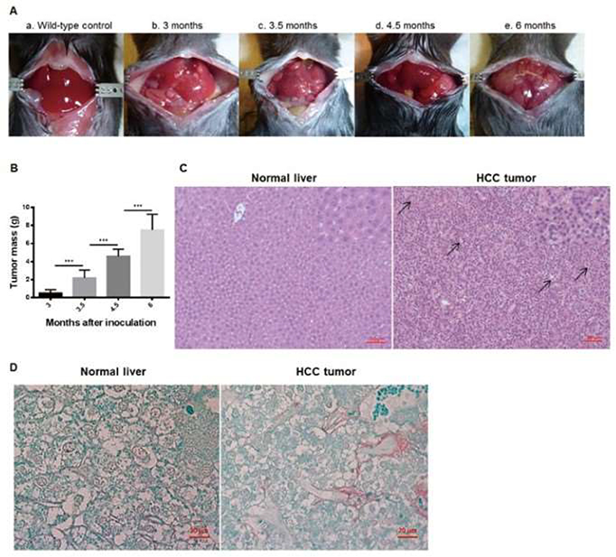 Figure 4: