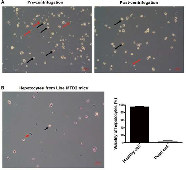 Figure 2: