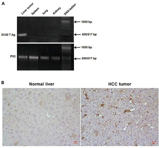 Figure 5: