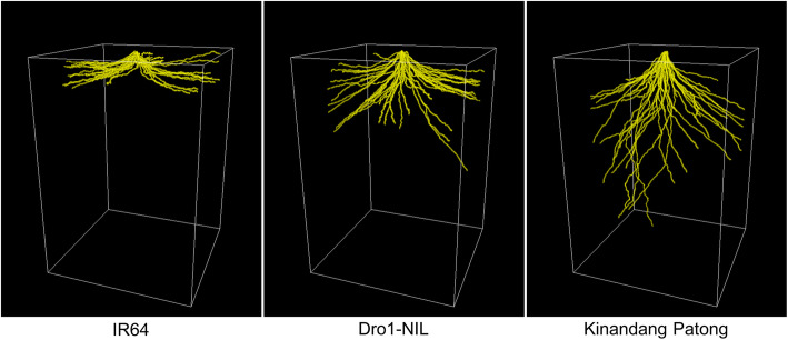 Fig. 7