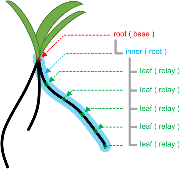 Fig. 3