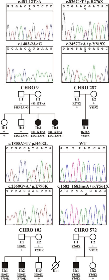 Fig. 4.