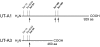 Figure 10.