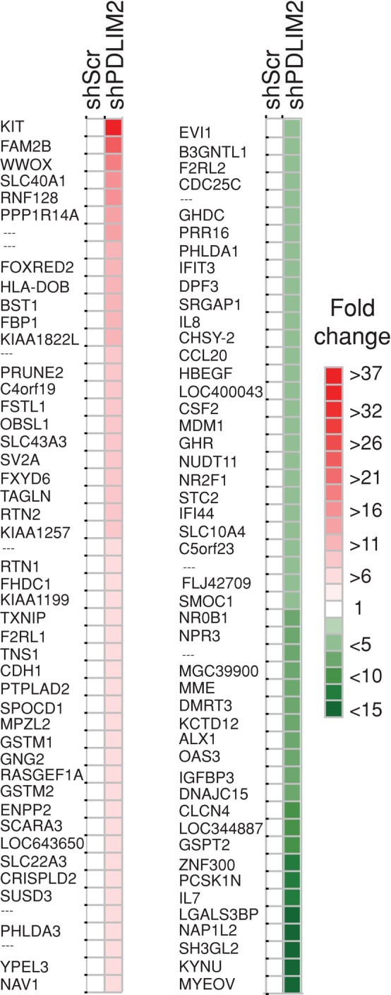 FIGURE 5: