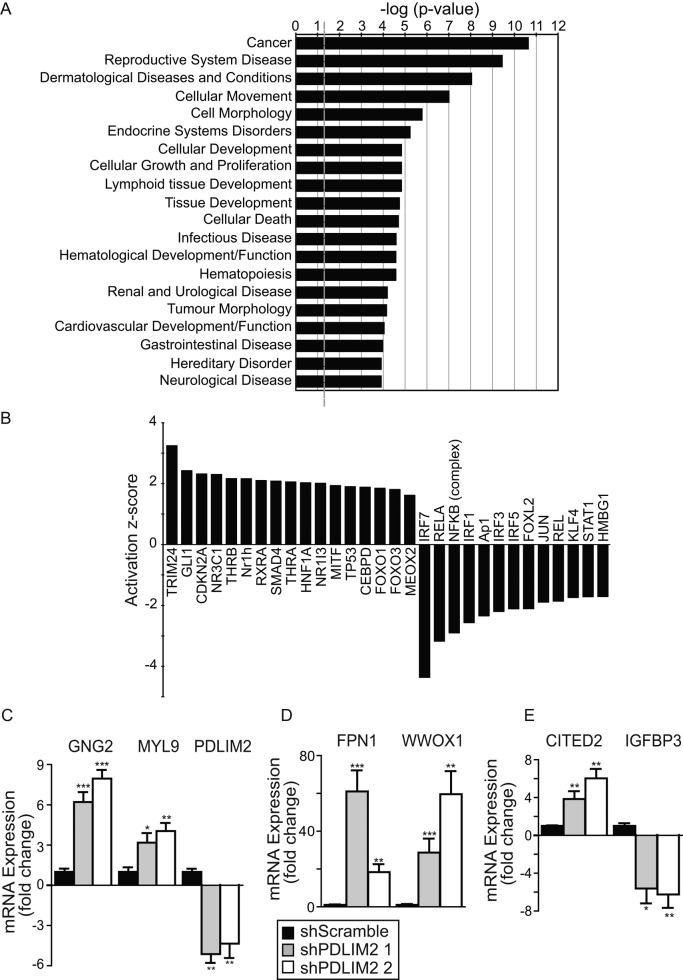 FIGURE 6: