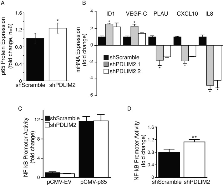 FIGURE 4: