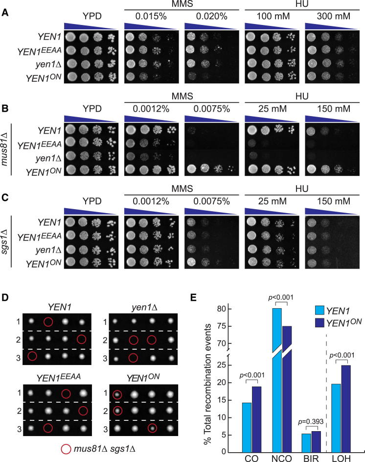 Figure 2