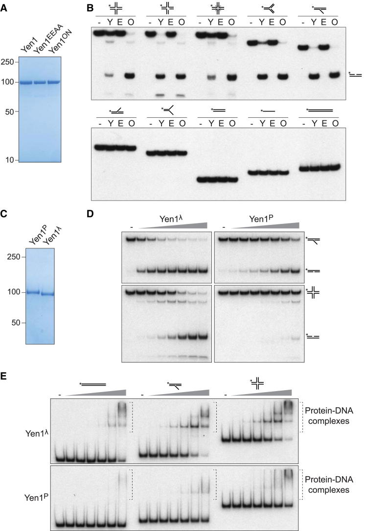 Figure 6