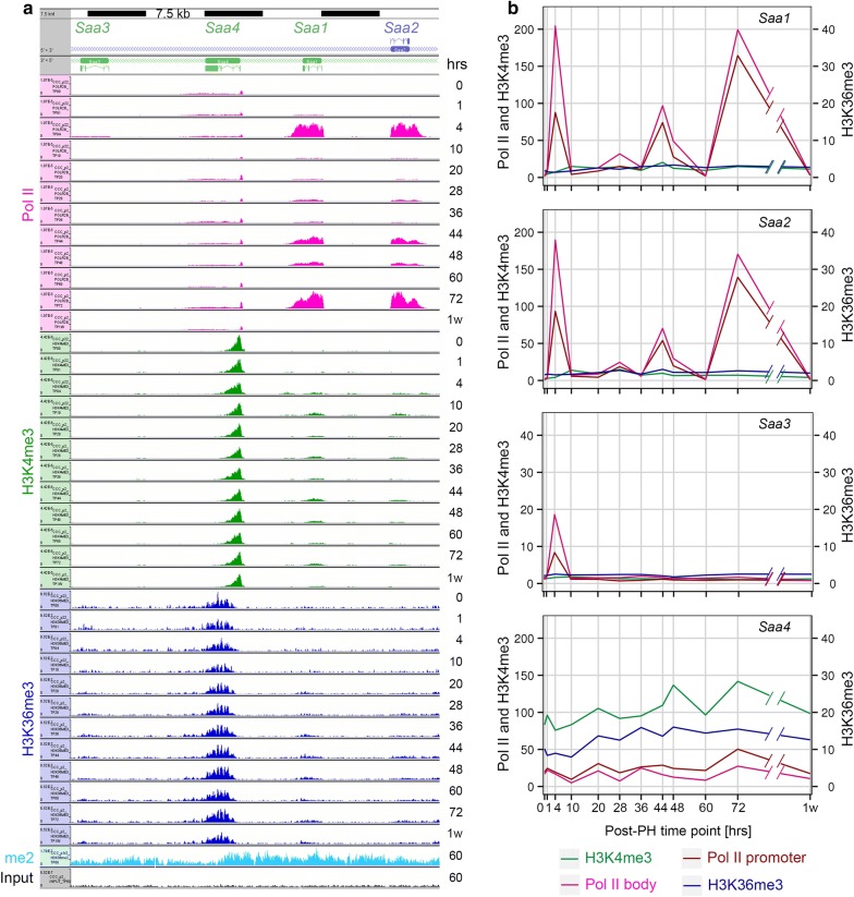 Fig. 7