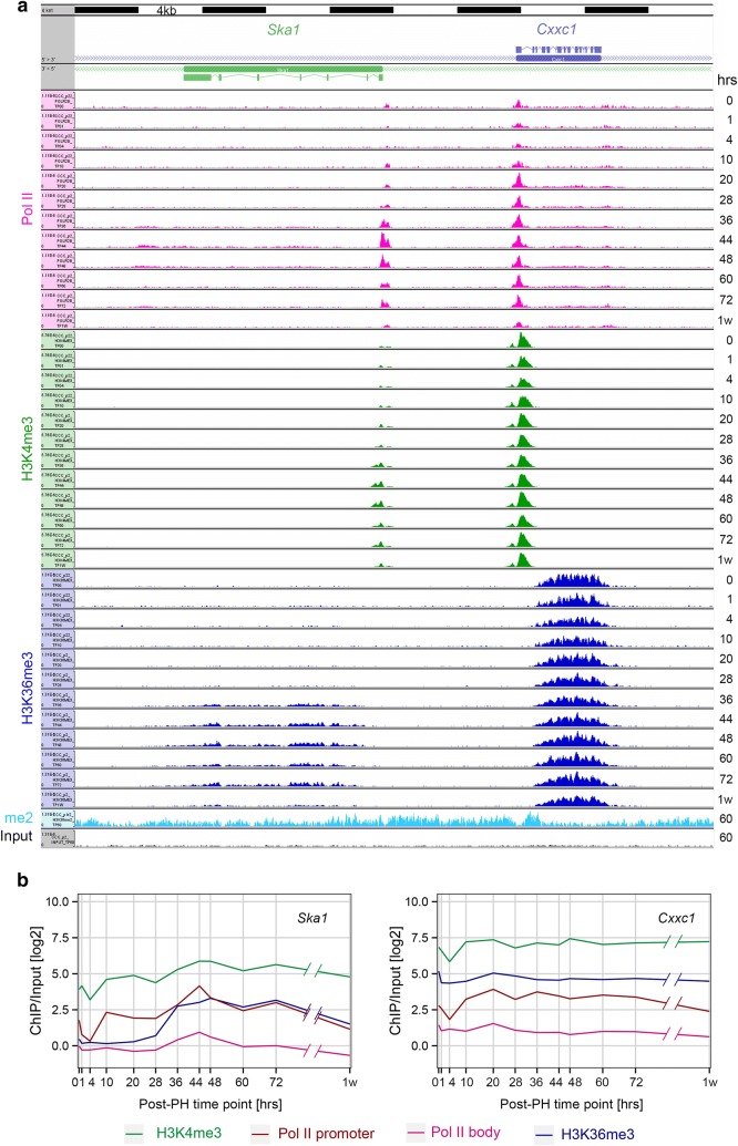 Fig. 4