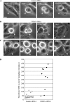 Figure 10.