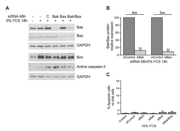 FIG. 6