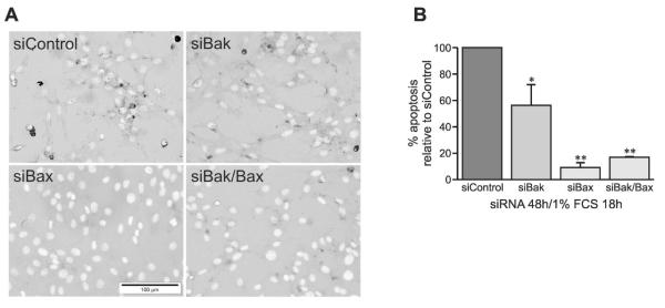 FIG. 7