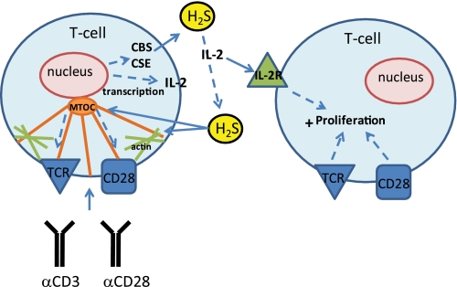 FIGURE 7.