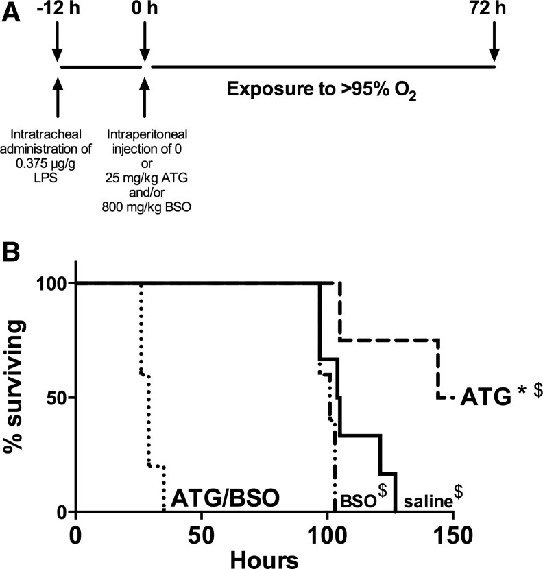 FIG. 8.