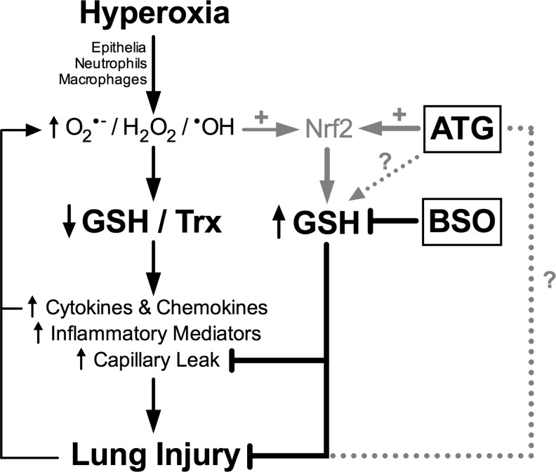 FIG. 10.