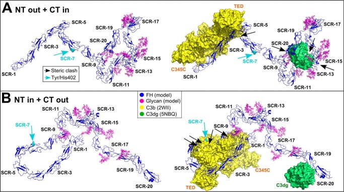 Figure 14.