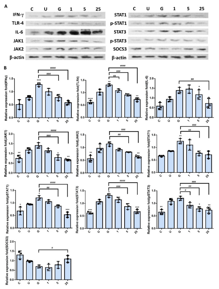 Figure 6