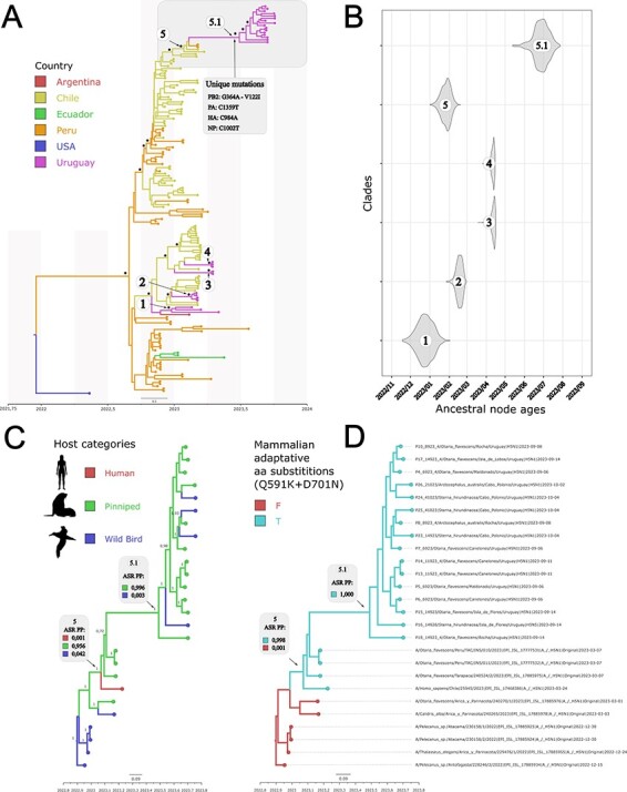 Figure 1. Bayesian phylogenetic reconstruction.