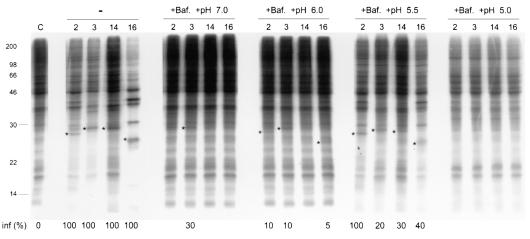 FIG. 7.