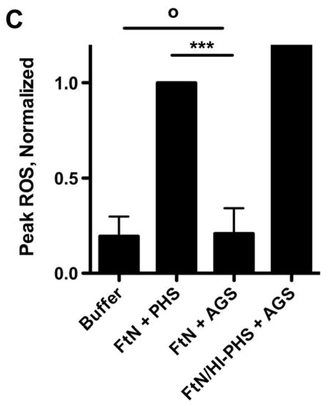 Fig. 5