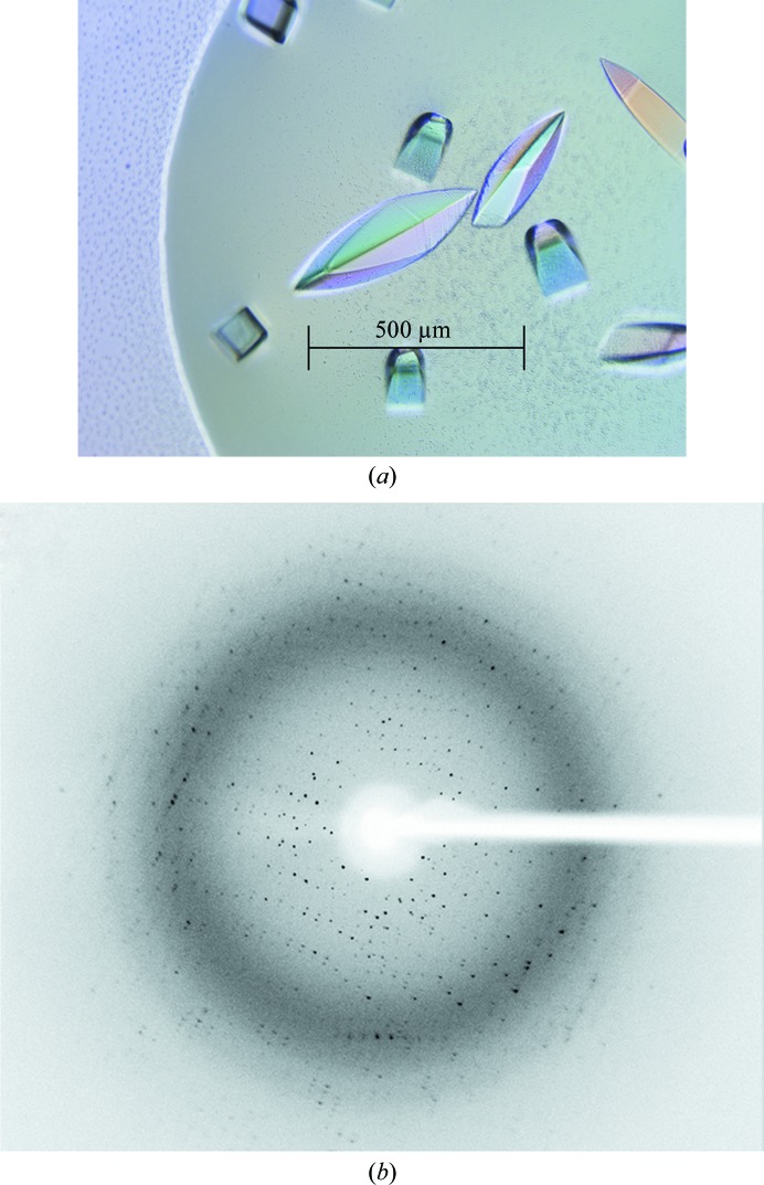 Figure 2