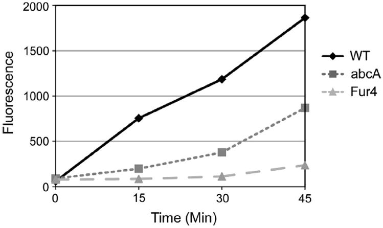 Fig. 3