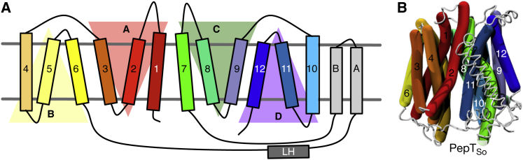 Figure 1