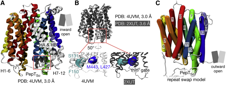 Figure 2