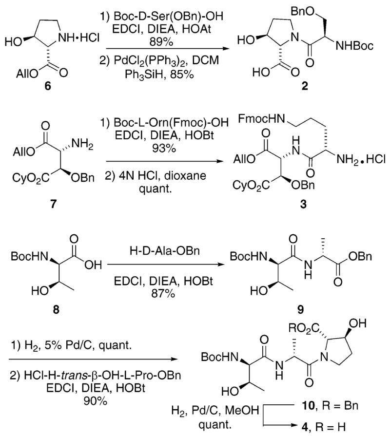 Scheme 1