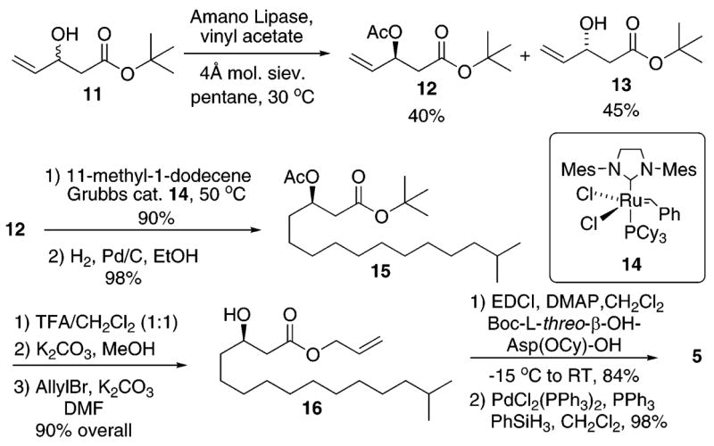 Scheme 2