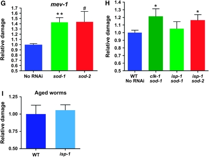 Figure 3.—