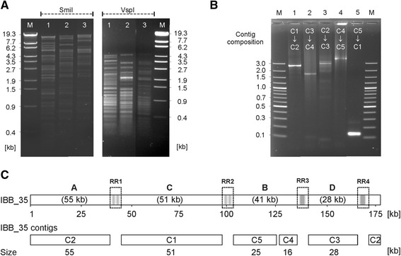 Fig. 9