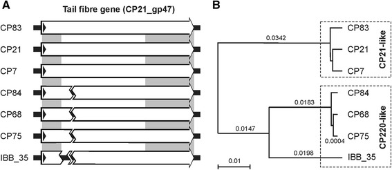 Fig. 10