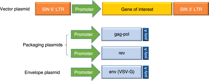 Fig. 2