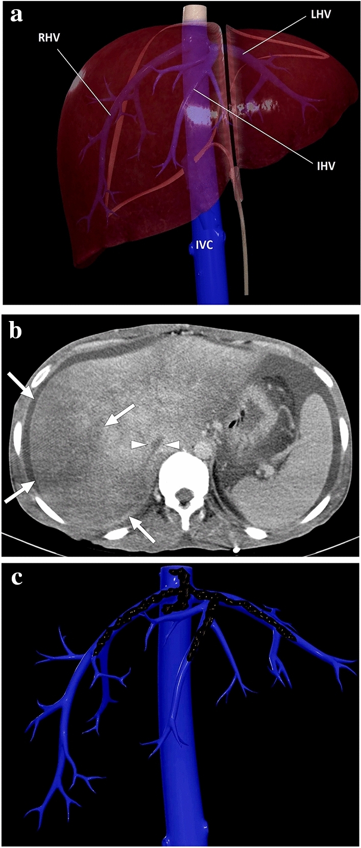 Fig. 5