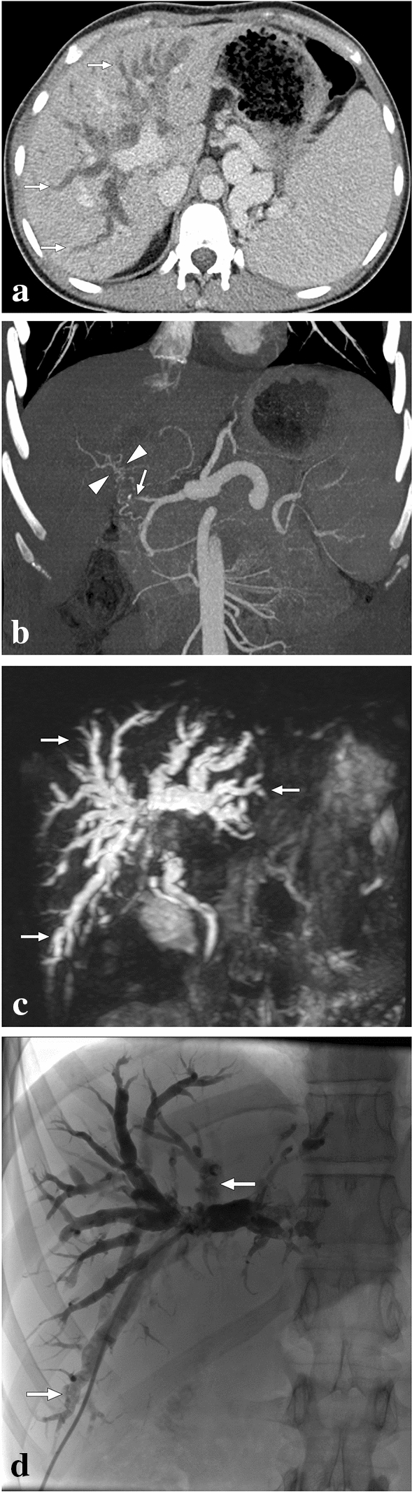 Fig. 9