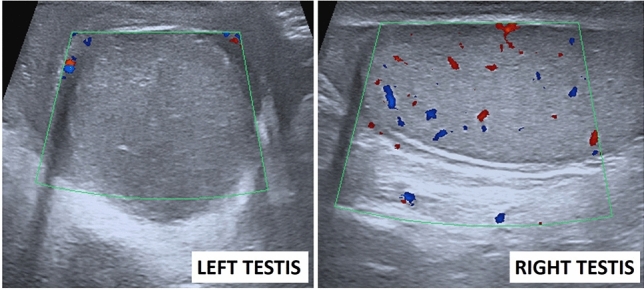 Fig. 36