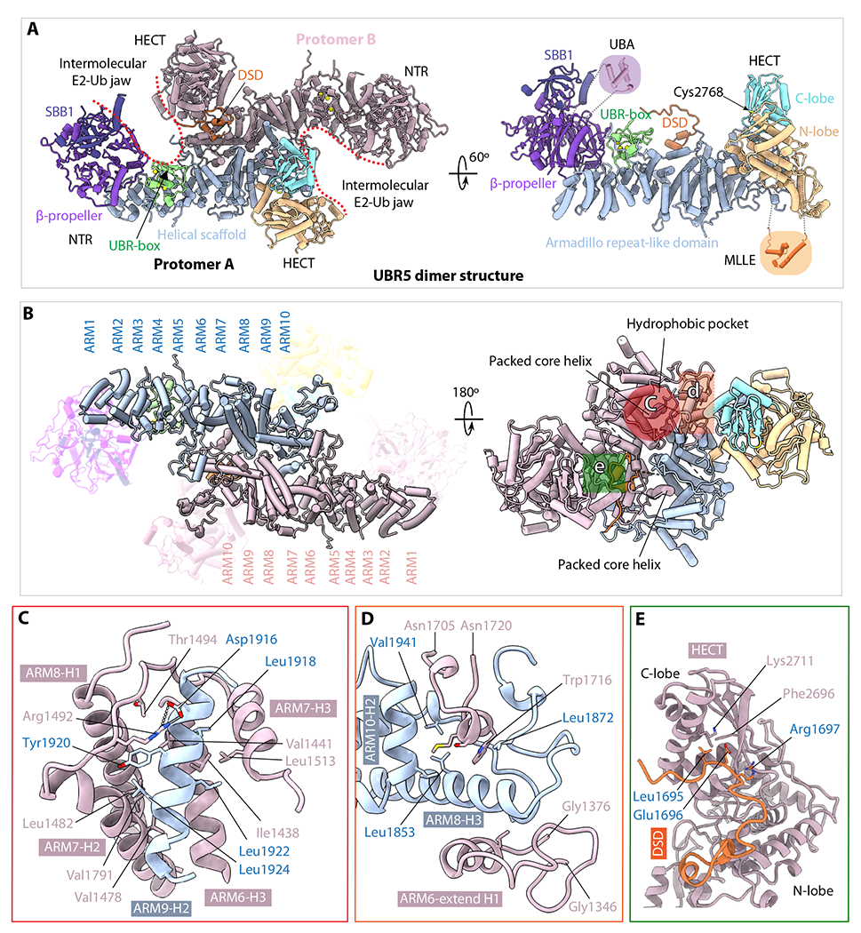 Fig. 2.