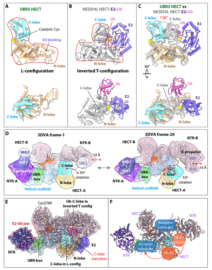 Figure 5.