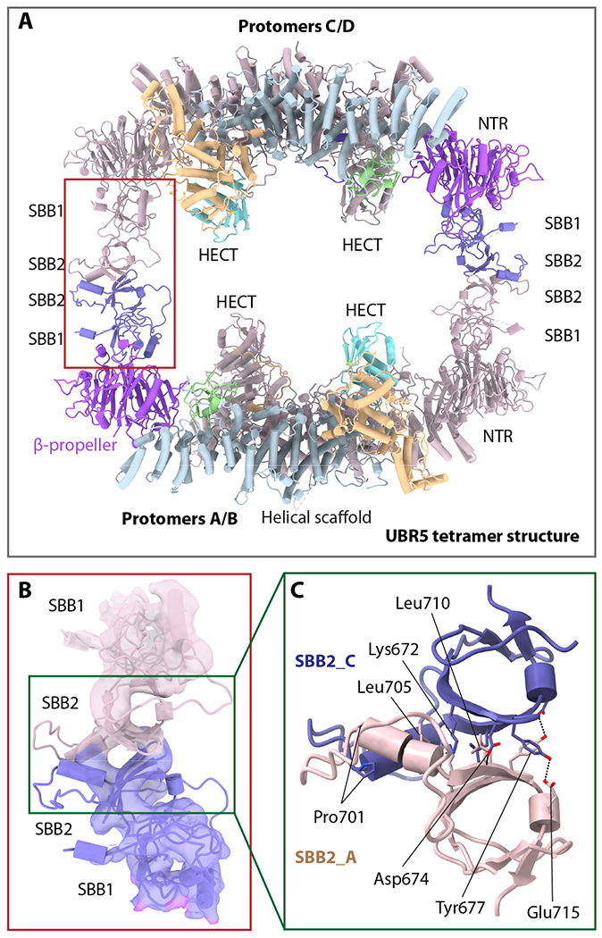 Figure 4.