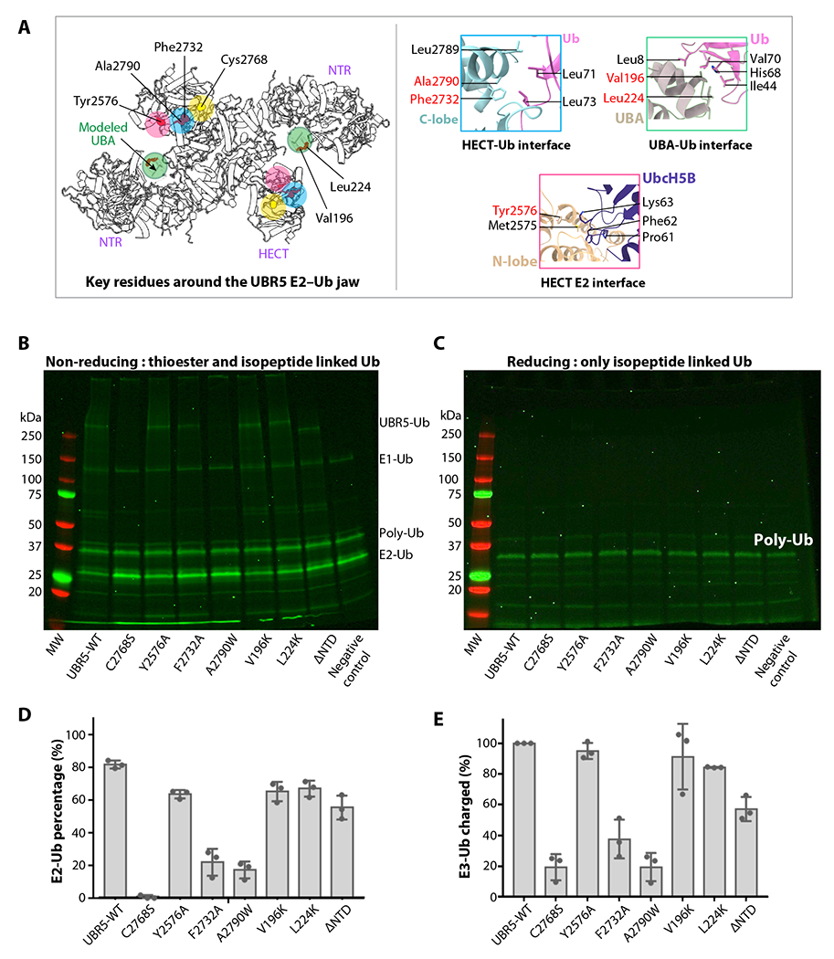 Figure 6.