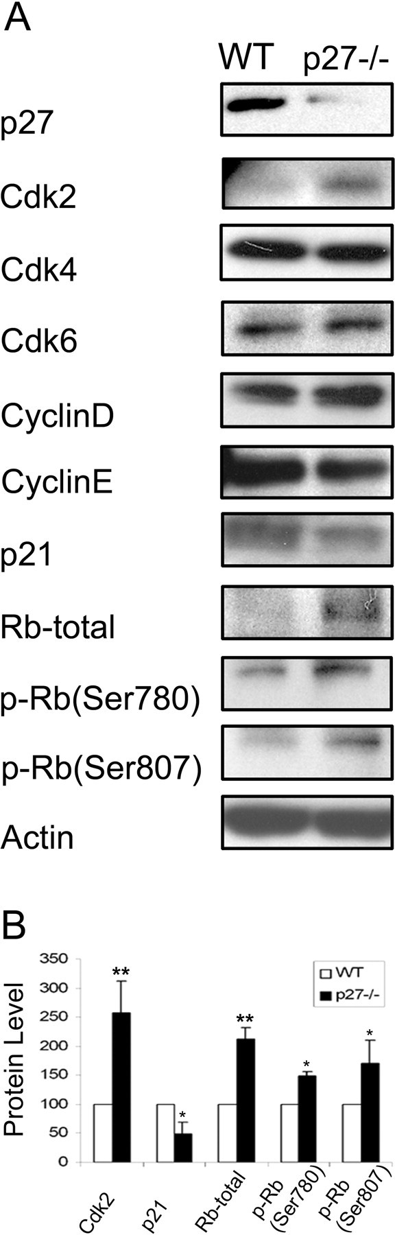 Figure 11.