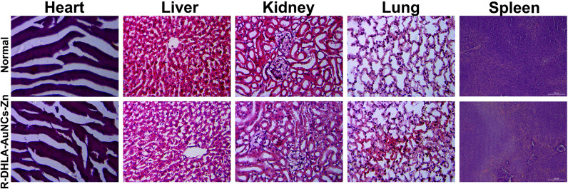 Fig. 9