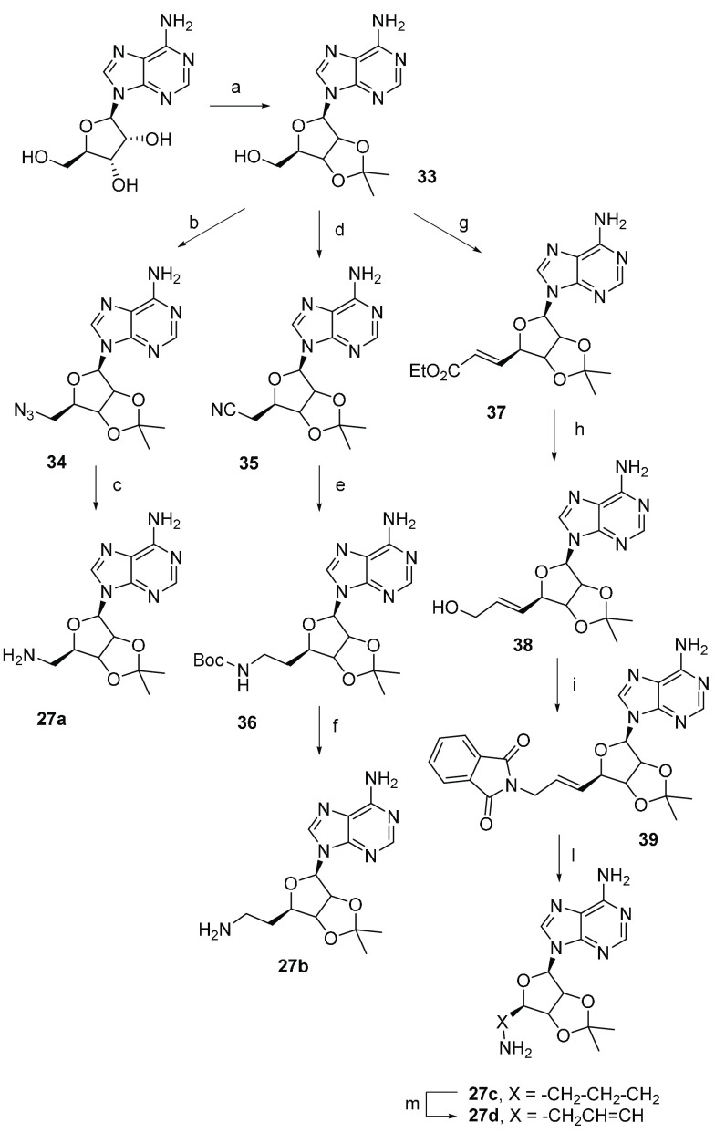 Scheme 5