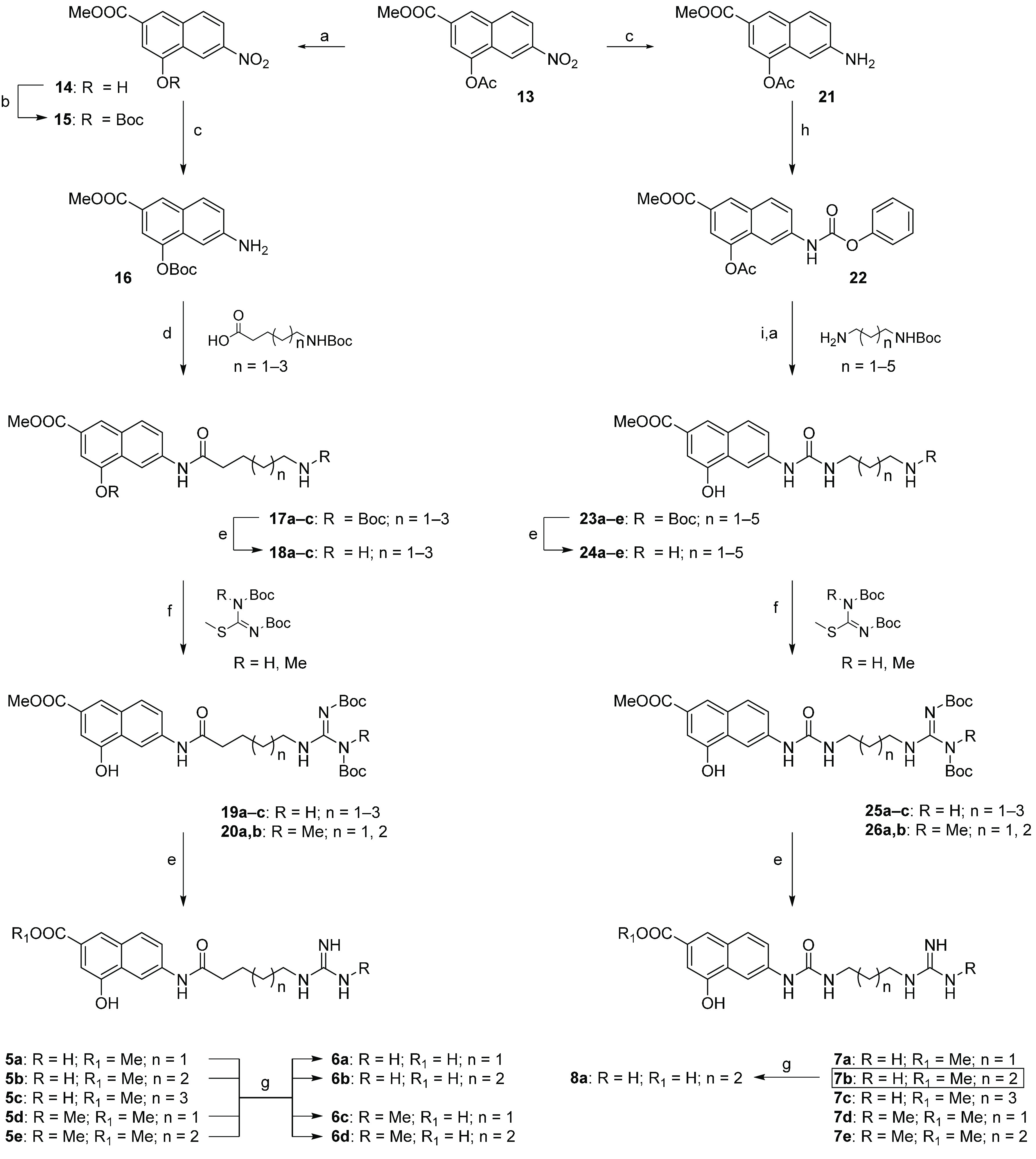 Scheme 1