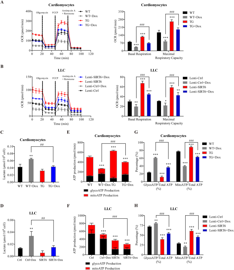 Figure 6