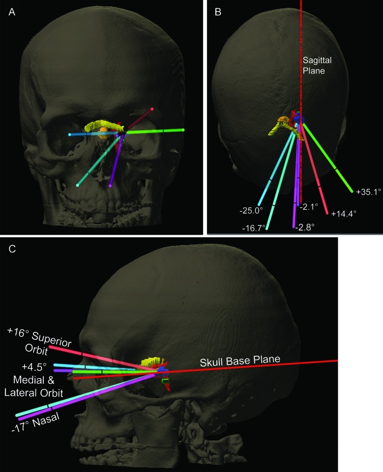 Fig. 7